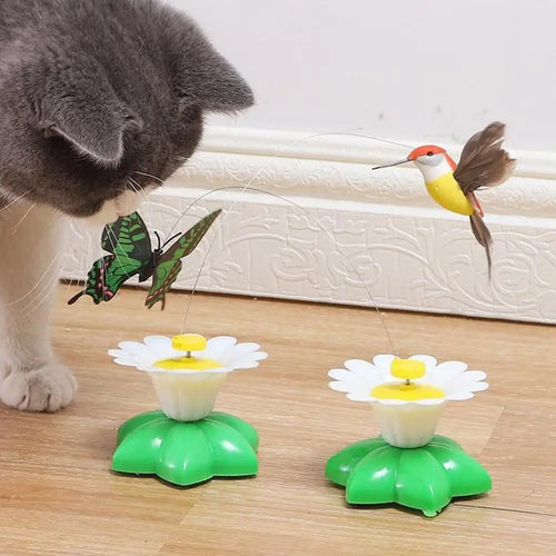 Jouet interactif papillon 360° pour chat